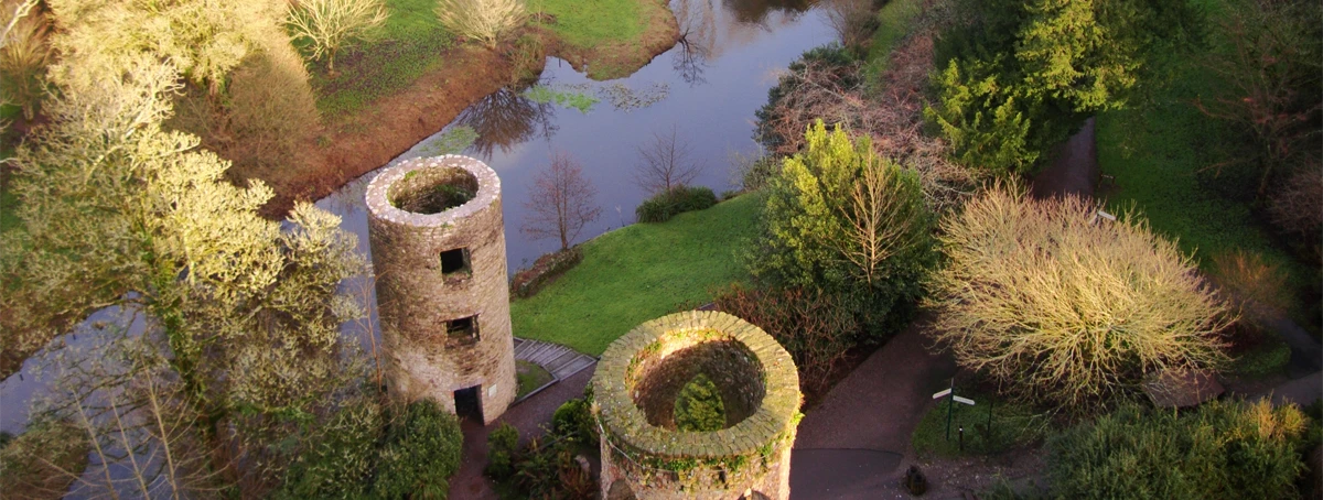 Irish Towers
